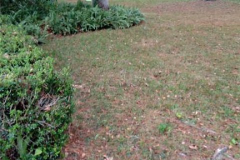 Casa en alquiler en Gainesville, Florida, 4 dormitorios, 221.66 m2 № 1837136 - foto 6