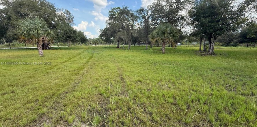 Land in Clewiston, Florida № 1897480
