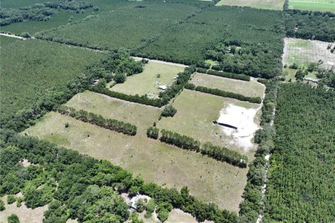 Land in Trenton, Florida № 1800105 - photo 8