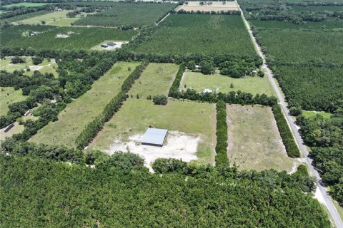 Land in Trenton, Florida № 1800105 - photo 1