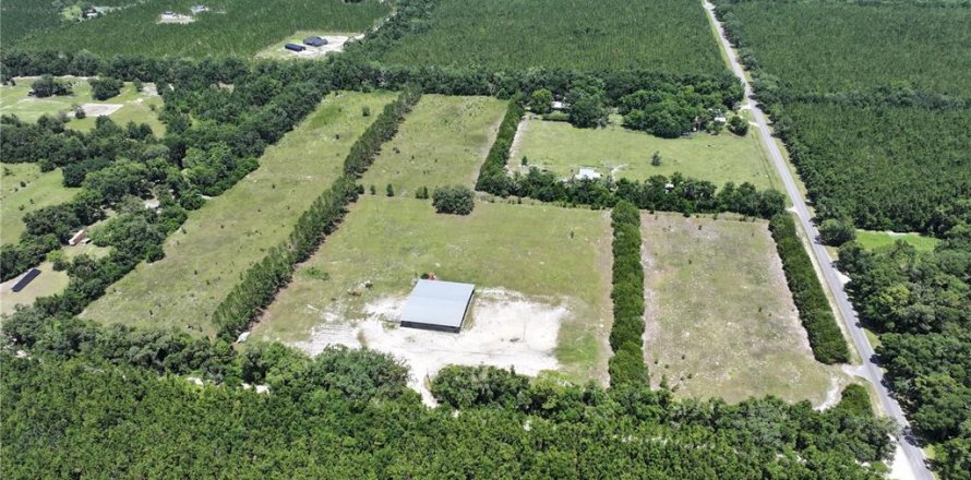 Land in Trenton, Florida № 1800105