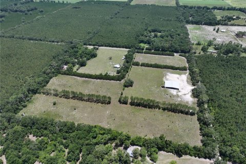 Land in Trenton, Florida № 1800105 - photo 7