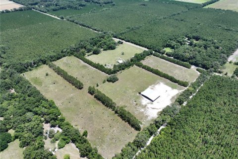 Land in Trenton, Florida № 1800105 - photo 6