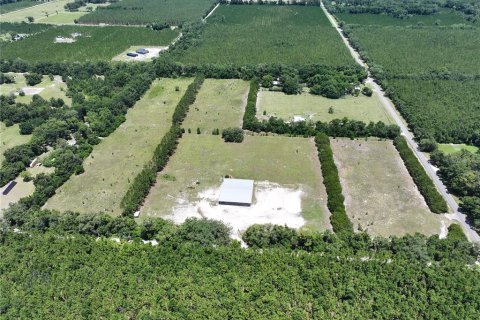 Land in Trenton, Florida № 1800105 - photo 10