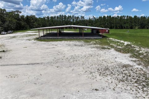 Land in Trenton, Florida № 1800105 - photo 3