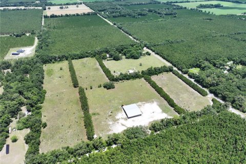 Land in Trenton, Florida № 1800105 - photo 5