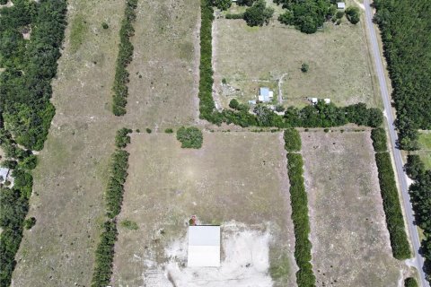 Land in Trenton, Florida № 1800105 - photo 9