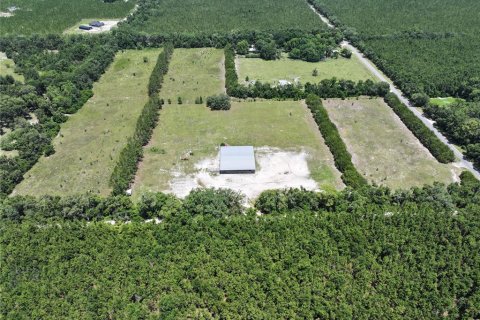 Land in Trenton, Florida № 1800105 - photo 11