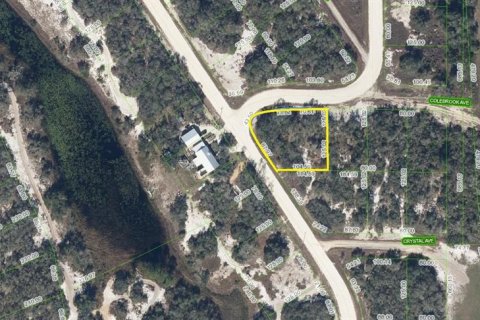 Terreno en venta en Lake Placid, Florida № 2162932 - foto 2