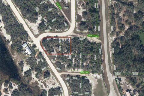 Terreno en Lake Placid, Florida № 2162932