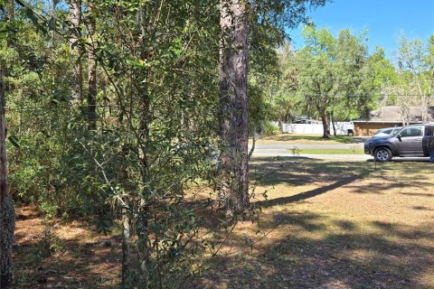 House in Citrus Springs, Florida 4 bedrooms, 208.66 sq.m. № 1597586 - photo 13