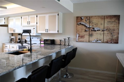 Condo in Punta Gorda, Florida, 2 bedrooms  № 1719219 - photo 12