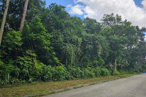 Terreno en Orange City, Florida № 2195138