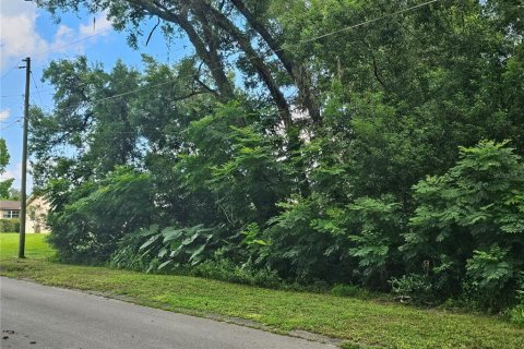 Land in Orange City, Florida № 2195138 - photo 2