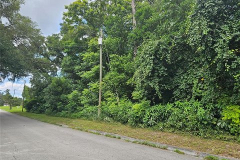 Land in Orange City, Florida № 2195138 - photo 6
