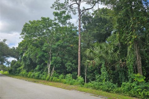 Land in Orange City, Florida № 2195138 - photo 5