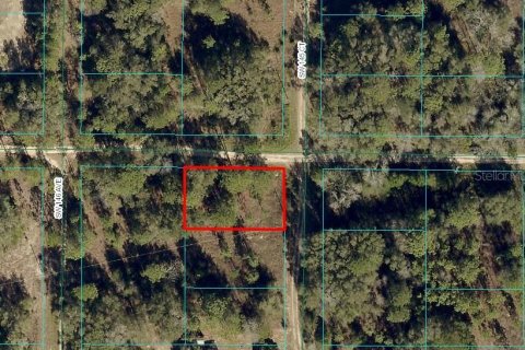 Land in Ocala, Florida № 2164184 - photo 10