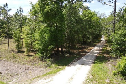 Land in Ocala, Florida № 2164184 - photo 8
