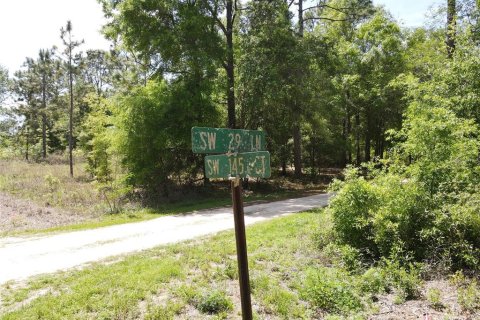 Land in Ocala, Florida № 2164184