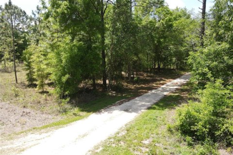 Land in Ocala, Florida № 2164184 - photo 6