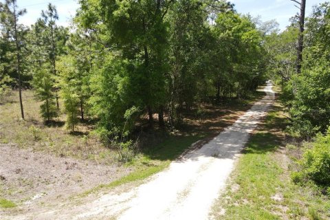 Land in Ocala, Florida № 2164184 - photo 7