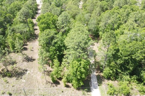 Land in Ocala, Florida № 2164184 - photo 5