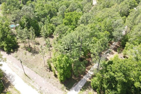 Land in Ocala, Florida № 2164184 - photo 3