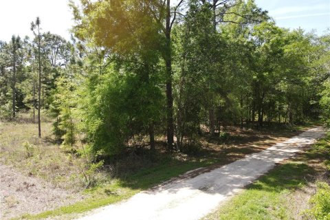 Land in Ocala, Florida № 2164184 - photo 2