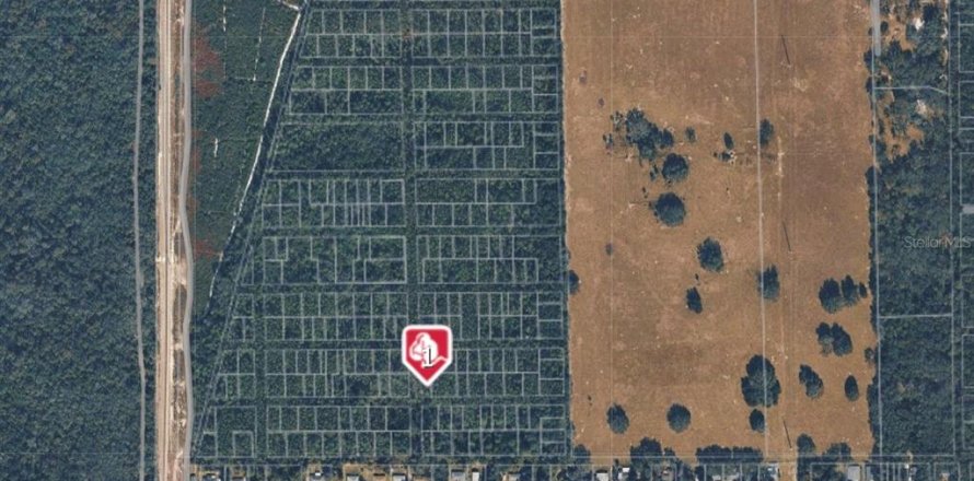 Land in DeLand, Florida № 2228891