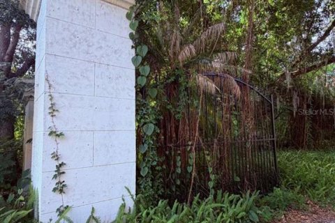 Land in Windermere, Florida № 2123105 - photo 5