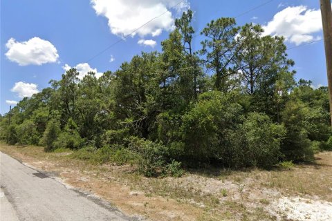 Land in Lehigh Acres, Florida № 2162517 - photo 10