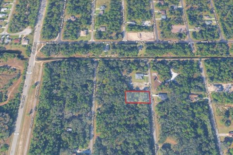 Land in Lehigh Acres, Florida № 2162517 - photo 3