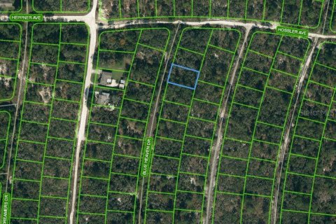 Land in Lake Placid, Florida № 2213039