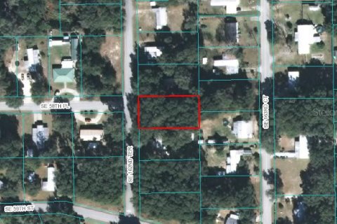 Land in Ocklawaha, Florida № 2164371