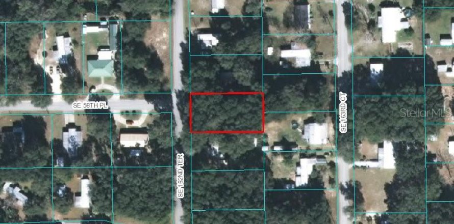 Land in Ocklawaha, Florida № 2164371