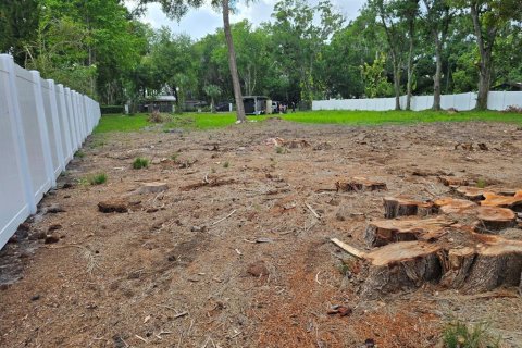 Land in Odessa, Florida № 1259500 - photo 7