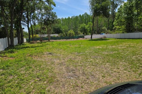 Land in Odessa, Florida № 1259500 - photo 6
