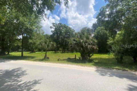 Land in Odessa, Florida № 1259500 - photo 1