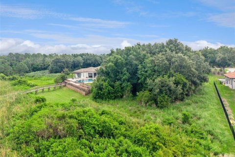 Land in Montverde, Florida № 2316662 - photo 3