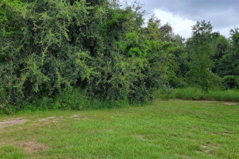 Land in Groveland, Florida № 222637 - photo 2