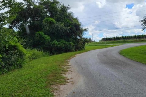 Land in Groveland, Florida № 222637 - photo 3