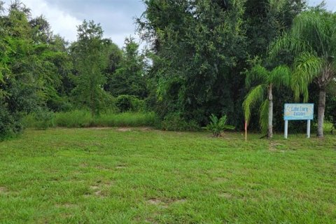 Land in Groveland, Florida № 222637 - photo 1