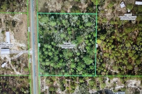 Land in Brooksville, Florida № 1893621 - photo 4