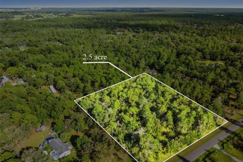Land in Brooksville, Florida № 1893621 - photo 1