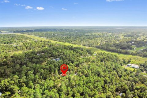 Land in Brooksville, Florida № 1893621 - photo 2
