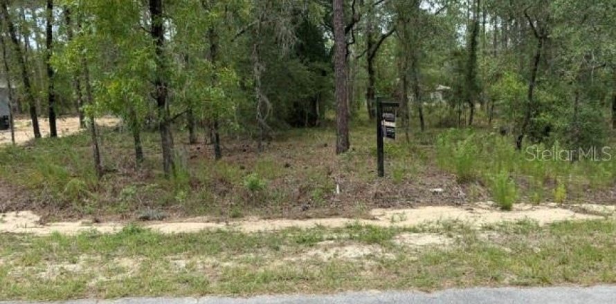 Terrain à Dunnellon, Floride № 2204907