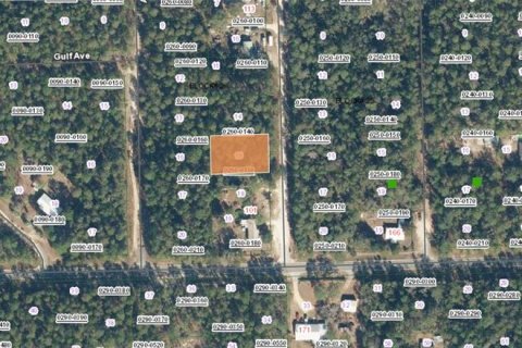 Land in Florahome, Florida № 2162251 - photo 3