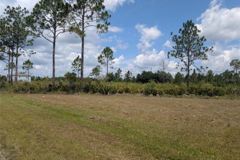 Land in Indian lake estates, Florida № 2161750 - photo 4