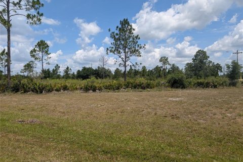 Land in Indian lake estates, Florida № 2161750