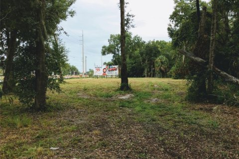 Terreno en alquiler en Homosassa, Florida № 1907959 - foto 2